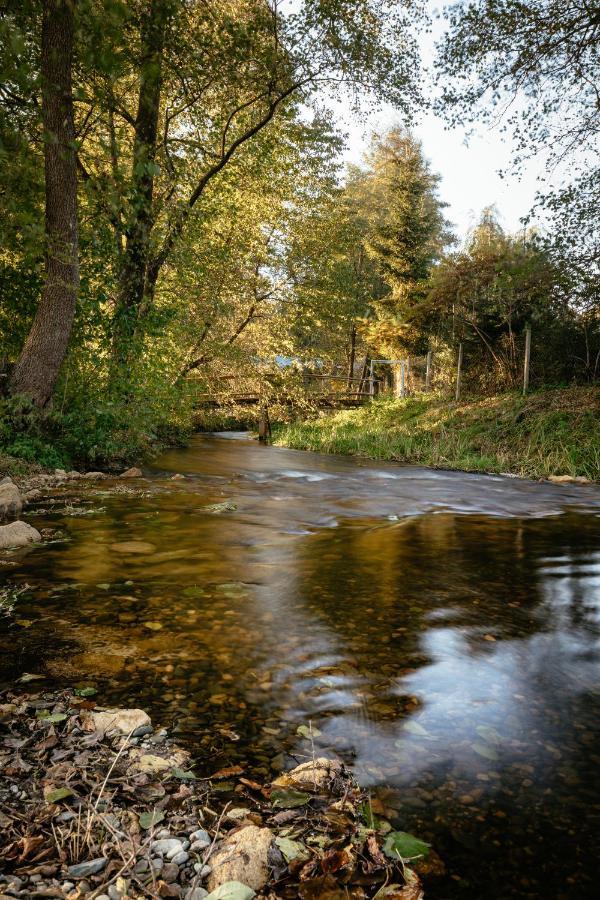Wypoczynek U Piotra Villa Susiec Kültér fotó