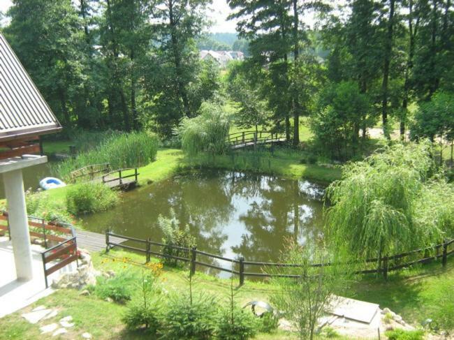 Wypoczynek U Piotra Villa Susiec Kültér fotó